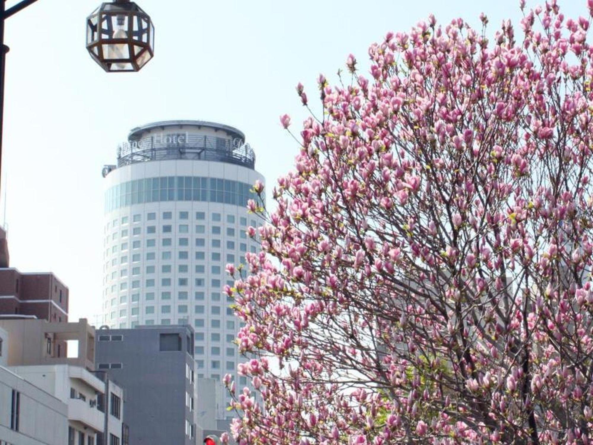 Sapporo Prince Hotel Eksteriør bilde